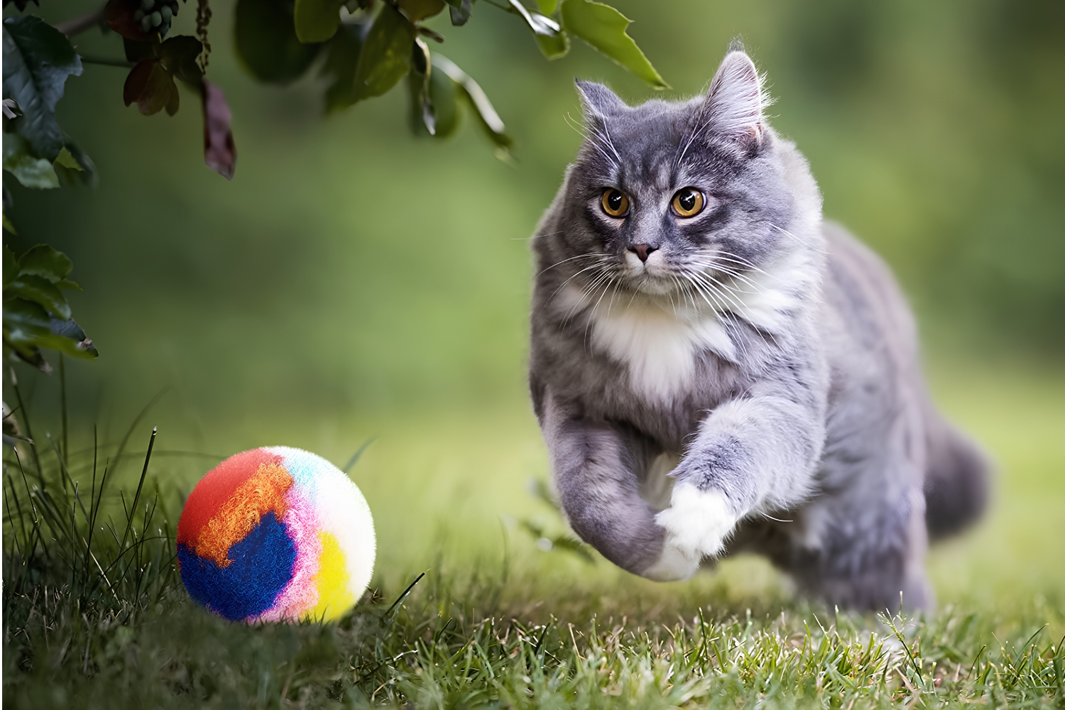 Fun Pet Toys That Keep Pets Active