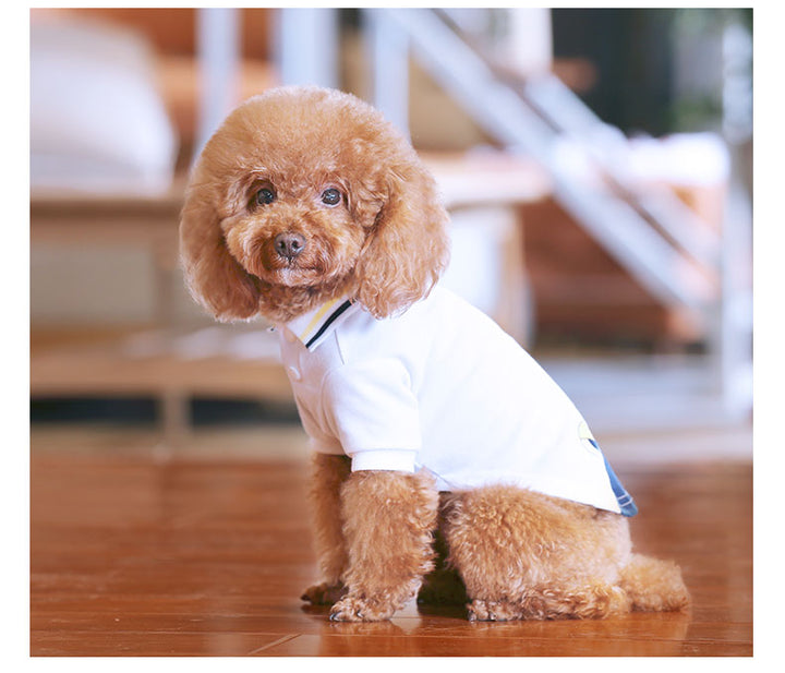 Why Your Pet Deserves the Teddy Pet Summer T-Shirt