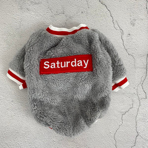 Why Your Pet Deserves the Best: Discover Our Cozy Pet Sweater