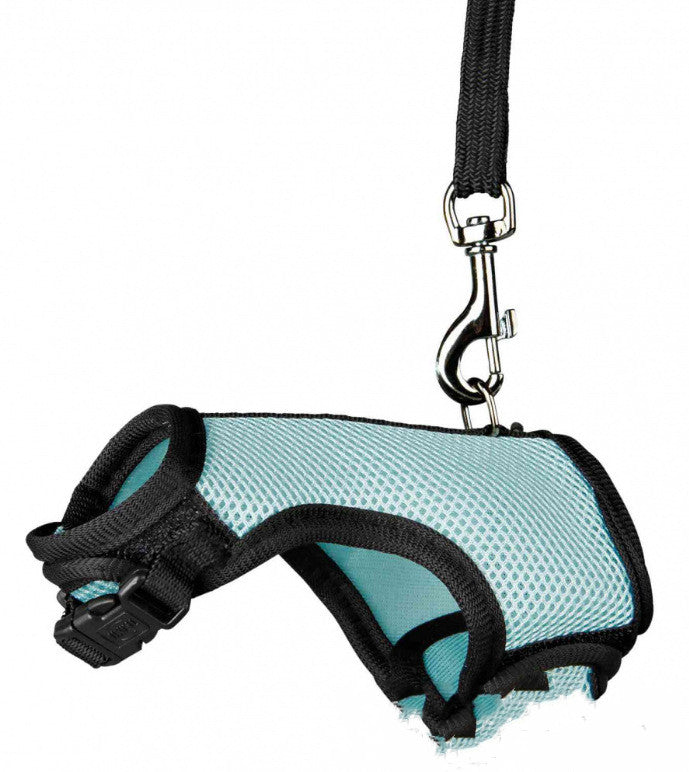 Discover the Perfect Small Pet Leash for Your Furry Friends!