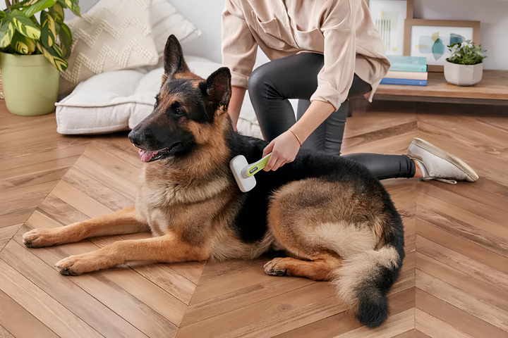 Simple Pet Grooming Tips For Healthier Pets